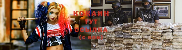спайс Аркадак