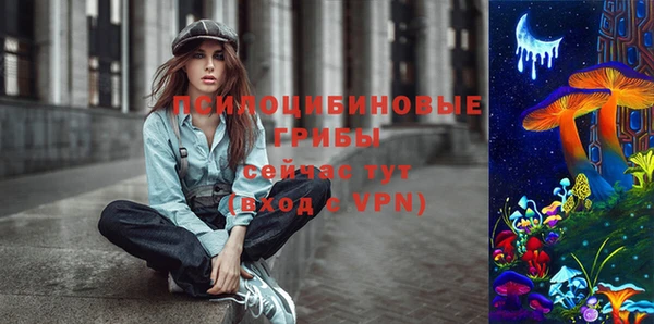 спайс Аркадак