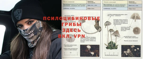 таблы Арсеньев